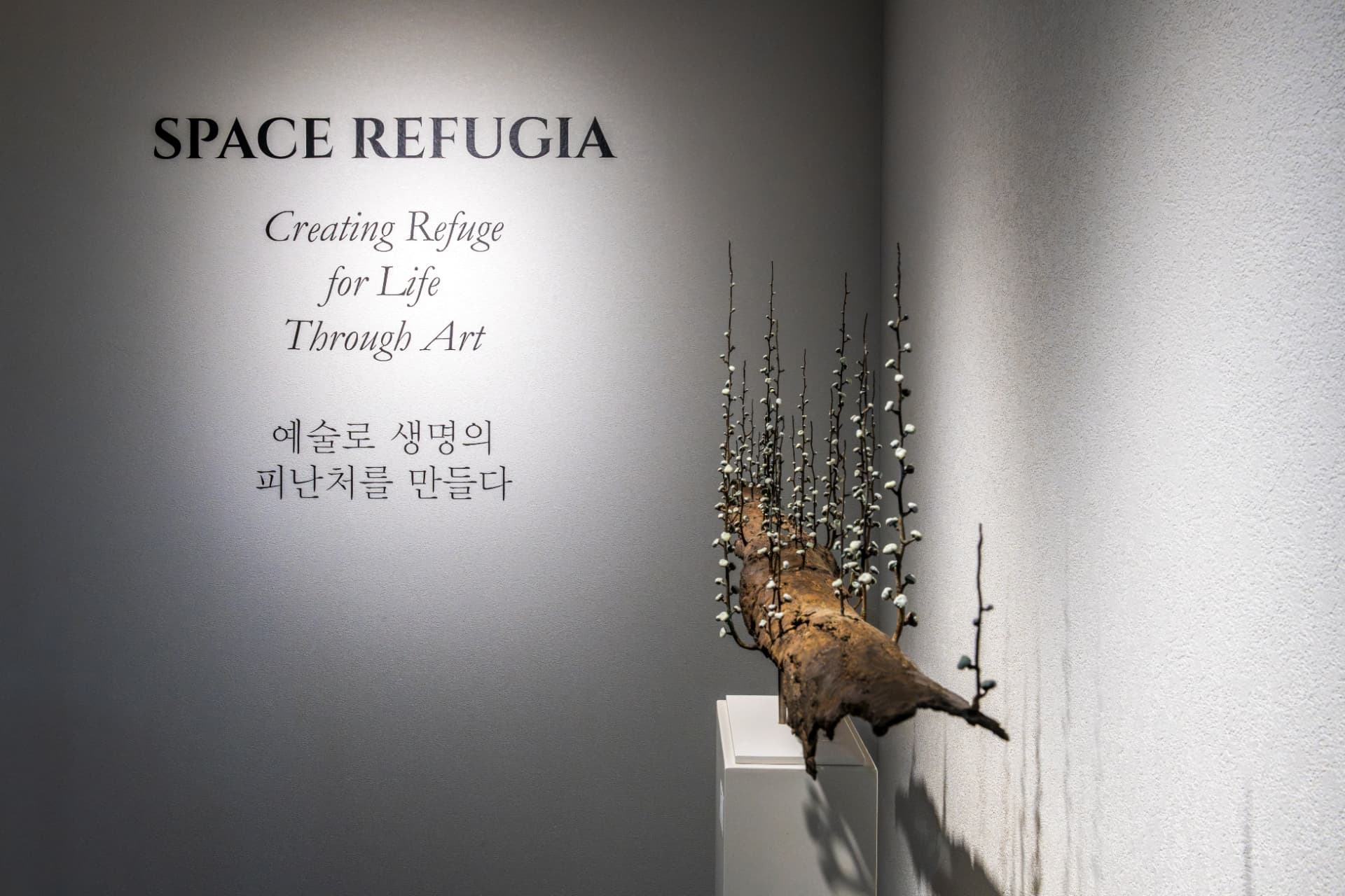Space Refugia — 전시 공간 조각 작품